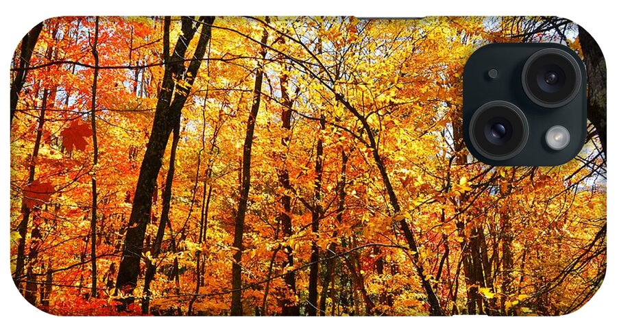  iPhone Case featuring the photograph Autumn Colors by Chuck Brown