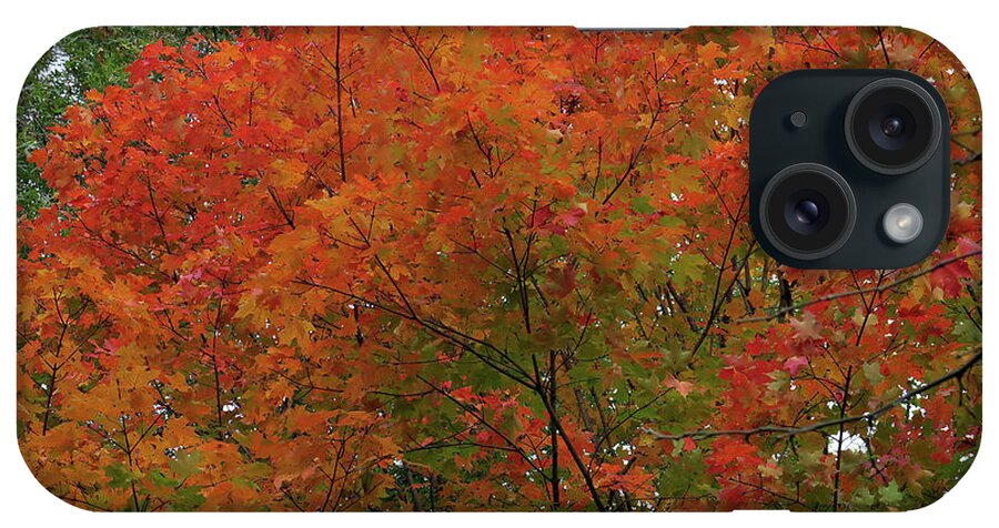 10.30.17_a Img2 iPhone Case featuring the photograph Autumn by Dorin Adrian Berbier