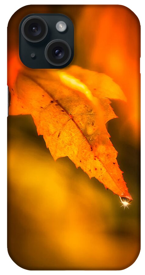 Autumn iPhone Case featuring the photograph Autumn Drops by Rikk Flohr
