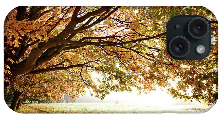 Autumn iPhone Case featuring the photograph Autumn Fall in morning light by Simon Bratt