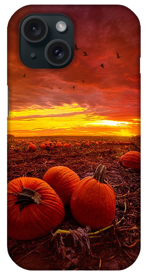 Pumpkins iPhone Case featuring the photograph Autumn Falls by Phil Koch