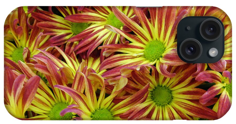 Flowers iPhone Case featuring the photograph Autumn Flowers by Lyric Lucas