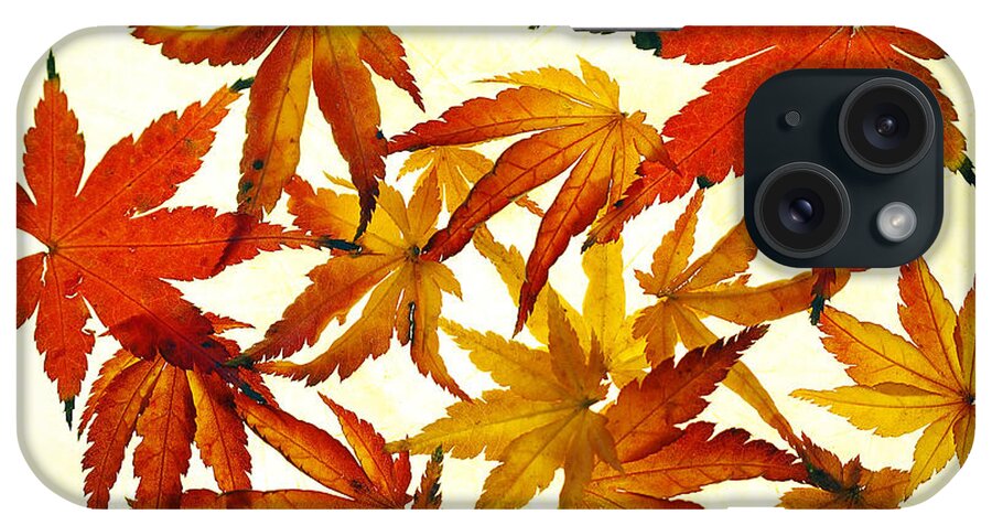 Autumn iPhone Case featuring the photograph Autumn Flury by Rebecca Cozart