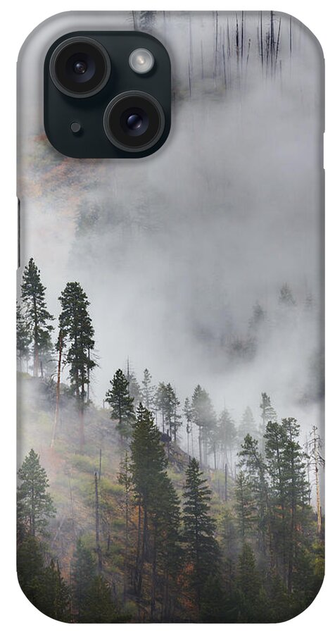 Autumn iPhone Case featuring the photograph Autumn Fog by Eggers Photography