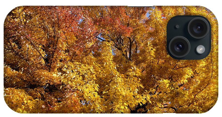 Photos iPhone Case featuring the digital art Autumn Gold by John Krakora