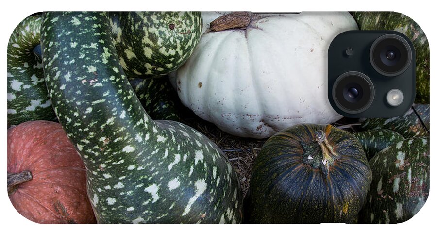 Gourds iPhone Case featuring the photograph Autumn Gourds by Suzanne Luft