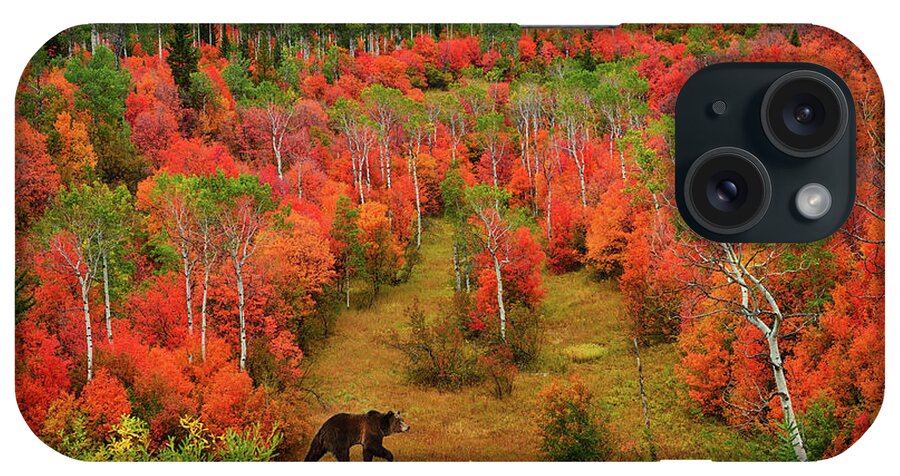 Autumn iPhone Case featuring the photograph Autumn Grizzly by Greg Norrell