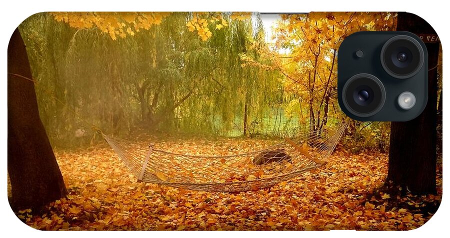 Hammock iPhone Case featuring the photograph Autumn Hammock by Guy Hoffman