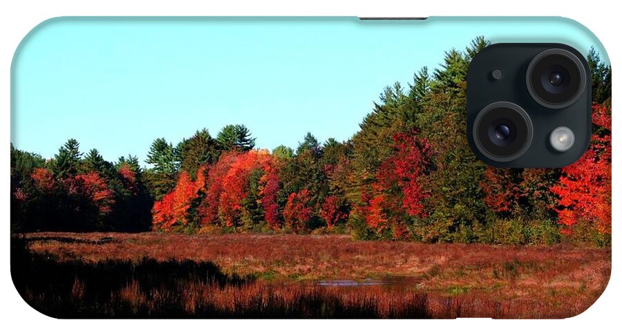 Autumn iPhone Case featuring the photograph Autumn In Fremont NH by Barbara S Nickerson