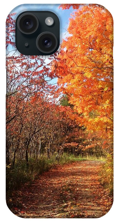Fall iPhone Case featuring the photograph Autumn Lane by Pat Purdy