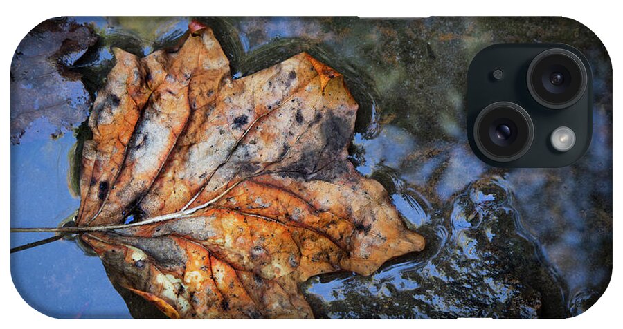 Appalachia iPhone Case featuring the photograph Autumn Leaf by Debra and Dave Vanderlaan