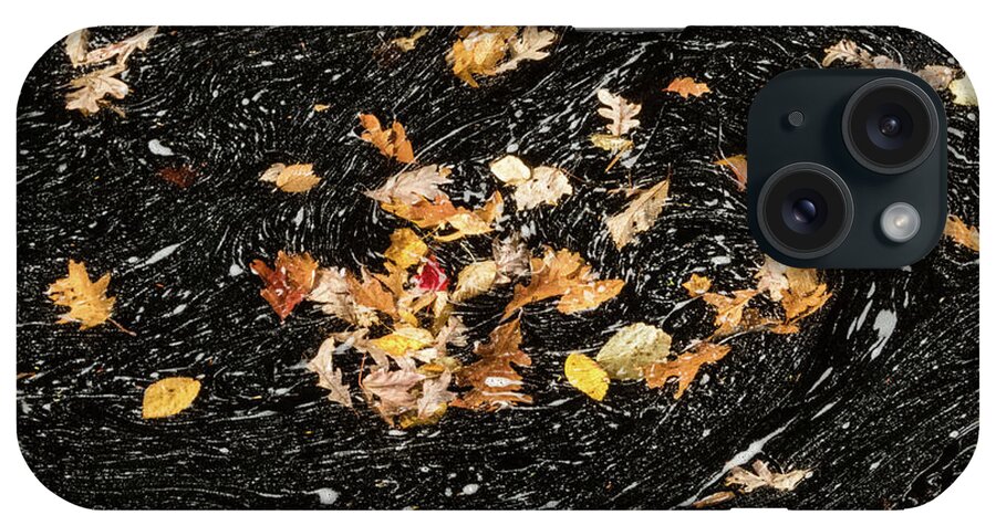 David Letts iPhone Case featuring the photograph Autumn Leaves Abstract by David Letts