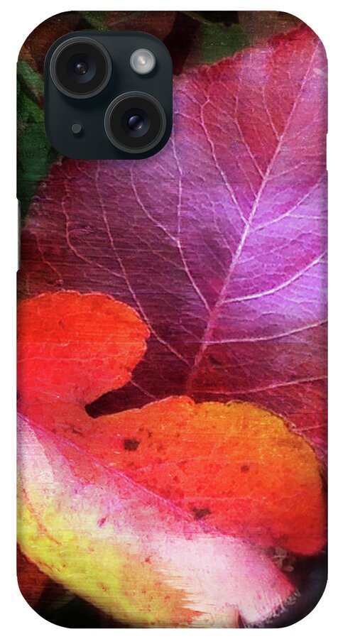 Autumn Leaves iPhone Case featuring the photograph Autumn Leaves by Terri Harper