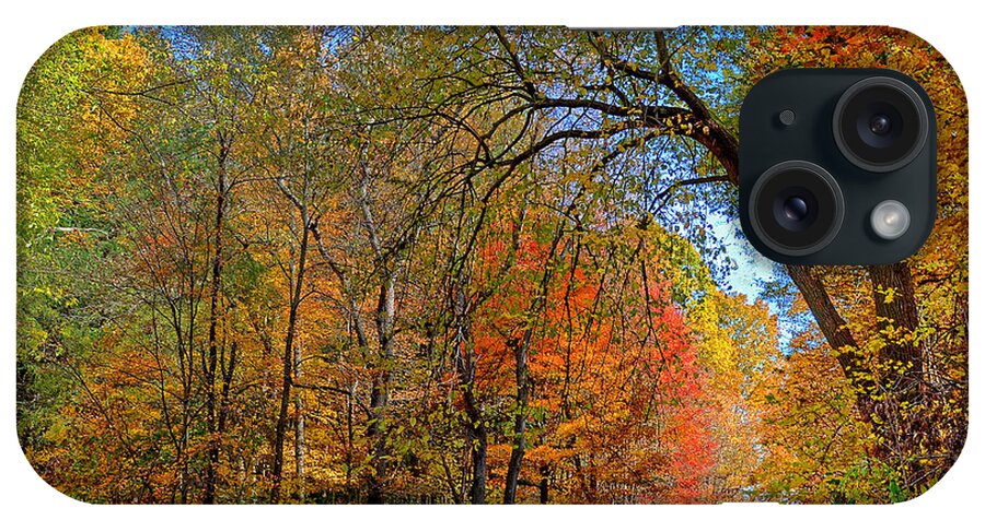 Autumn iPhone Case featuring the photograph Autumn Light by Rodney Campbell