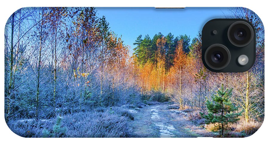 Yellow iPhone Case featuring the photograph Autumn meets winter by Dmytro Korol