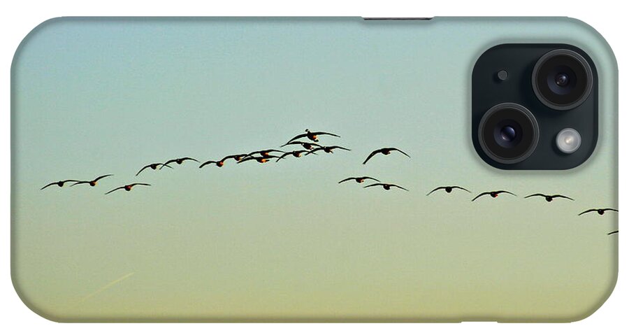 Photography iPhone Case featuring the photograph Autumn Migration by Sean Griffin