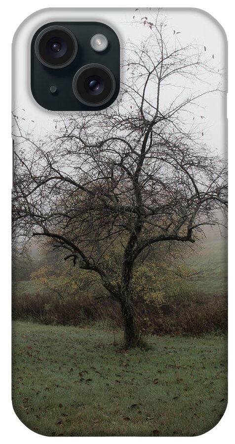 Landscape iPhone Case featuring the photograph Autumn Mist by Michael Friedman