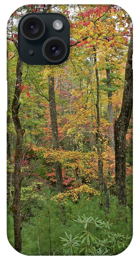 Tennessee iPhone Case featuring the photograph Autumn Palette by Michele Burgess