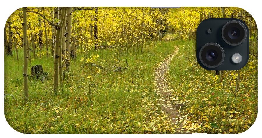 Colorado Rockymountains Autumn Golden Leaves Path Hike Walk Aspen iPhone Case featuring the photograph Autumn path by George Tuffy