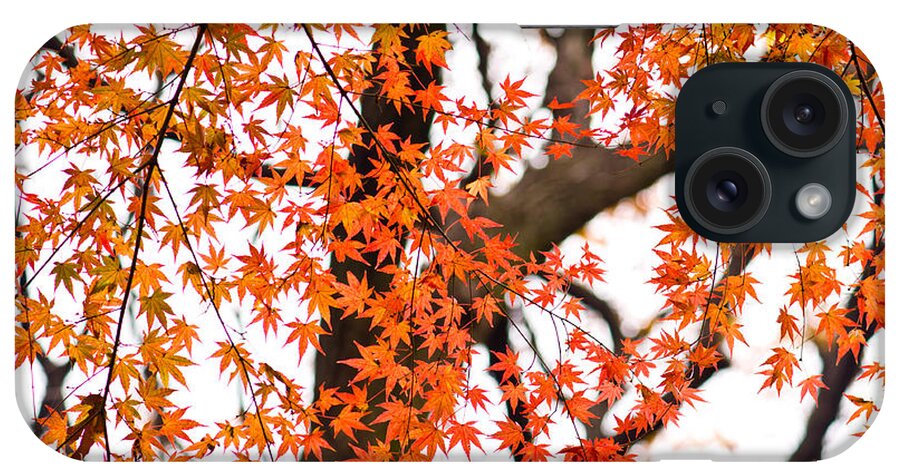 Autumn iPhone Case featuring the photograph Autumn red leaves on a tree  by U Schade
