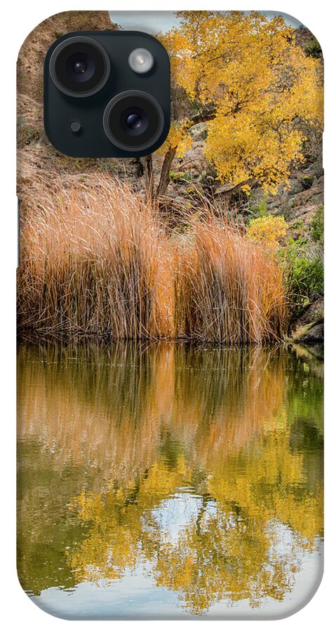 Tree iPhone Case featuring the photograph Autumn Reflection at Boyce Thompson Arboretum by Teresa Wilson