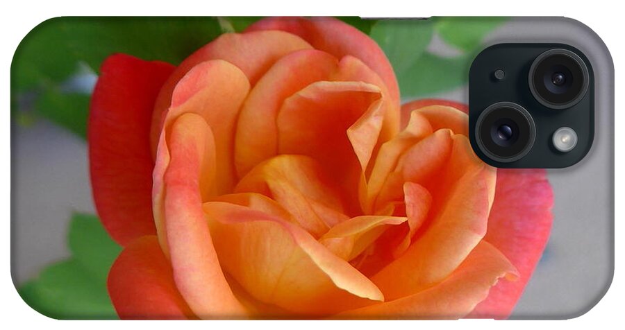 Sedona iPhone Case featuring the photograph Autumn Sedona HEART Rose by Mars Besso