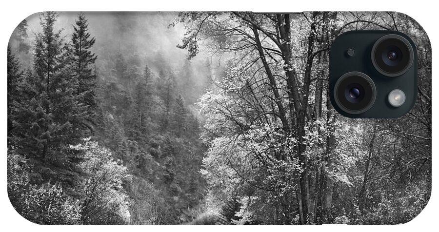 Black And White iPhone Case featuring the photograph Autumn Sparkles on Green Mountain by John Poon