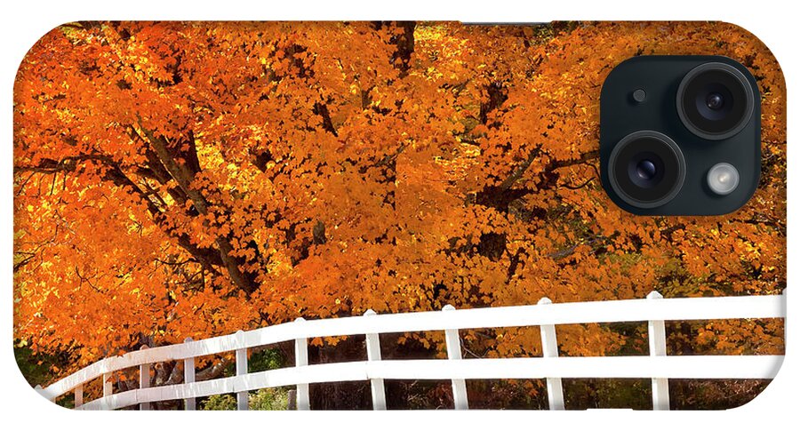 Autumn iPhone Case featuring the photograph Autumn Sugar Maples by Alan L Graham