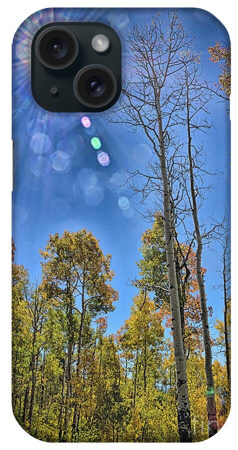 Fall iPhone Case featuring the photograph Autumn Sunbeams by Janice Pariza