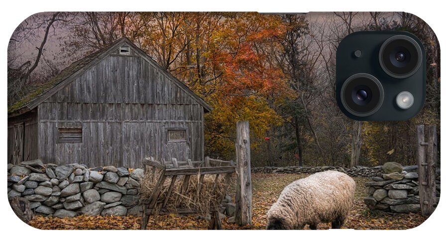 Sheep iPhone Case featuring the photograph Autumn Sweater by Robin-Lee Vieira