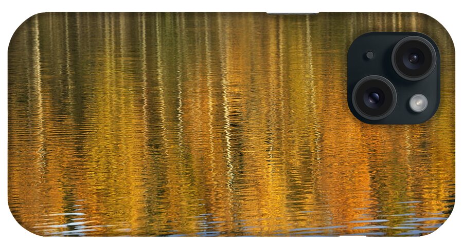 Autumn iPhone Case featuring the photograph Autumn tree reflections by Elvira Butler
