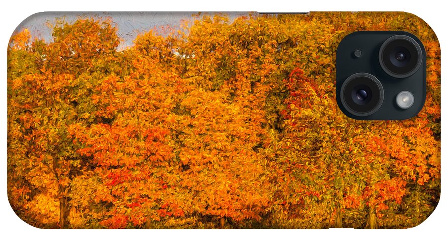 David Letts iPhone Case featuring the painting Autumn Trees by David Letts