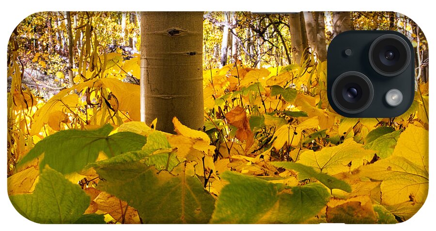 Autumn Colors iPhone Case featuring the photograph Autumn's Warm Embrace by Jim Garrison
