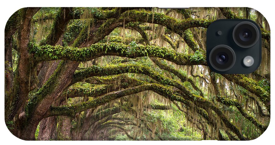 #faatoppicks iPhone Case featuring the photograph Avenue of Oaks - Charleston SC Plantation Live Oak Trees Forest Landscape by Dave Allen