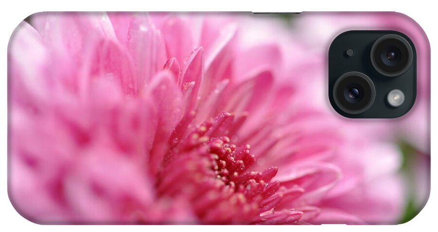 Flower iPhone Case featuring the photograph Awakening by Glenn Gordon