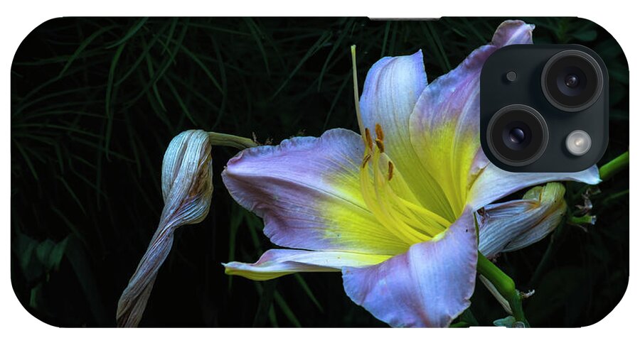 Hayward Garden Putney Vermont iPhone Case featuring the photograph Awesome Daylily by Tom Singleton