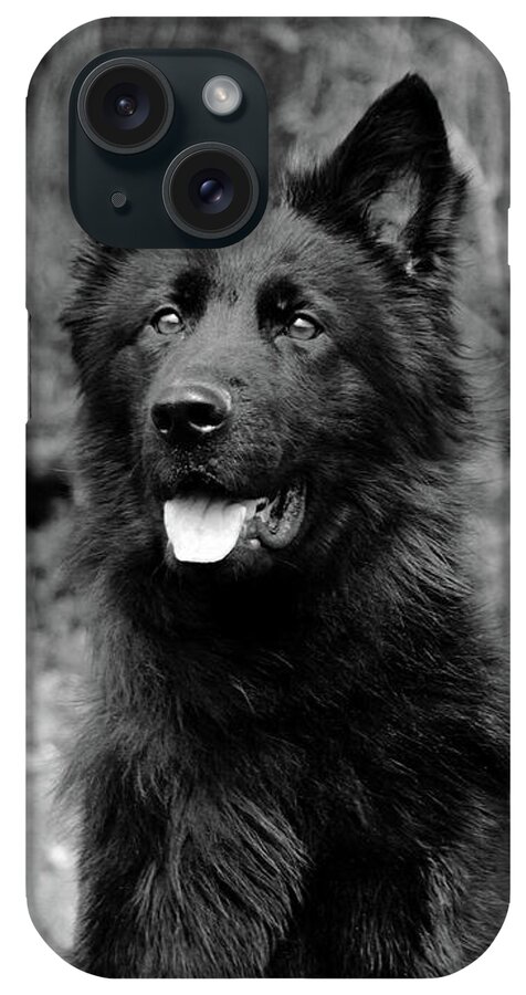 German Shepherd iPhone Case featuring the photograph Aziza #1 by Sandy Keeton
