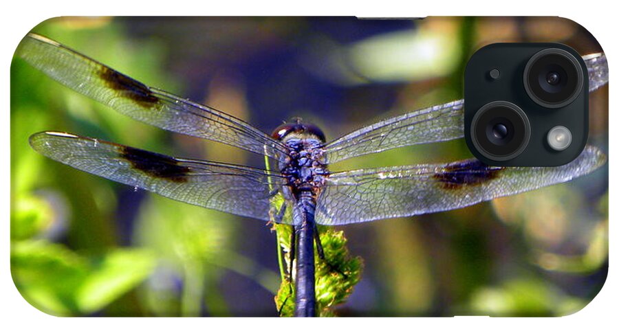 Dragonfly iPhone Case featuring the photograph Azure Dragonfly by Terri Mills