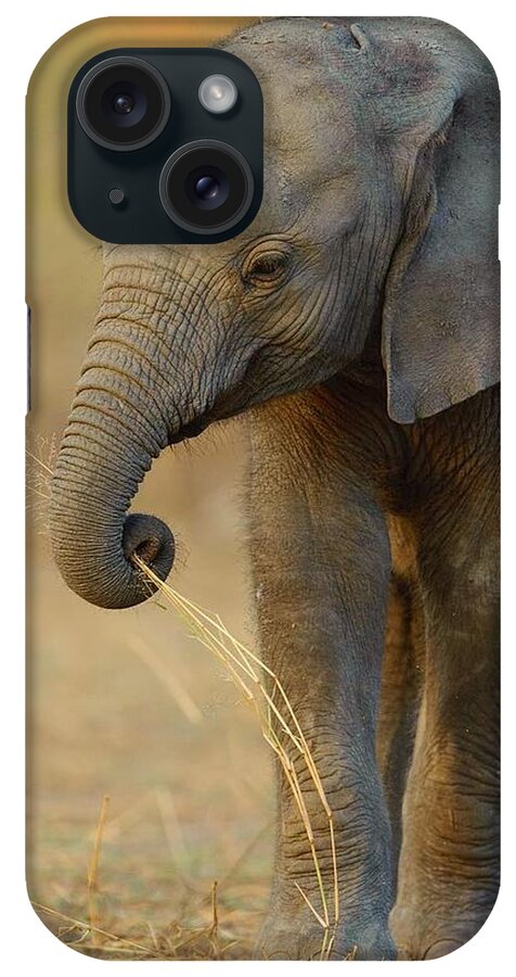 Elephant iPhone Case featuring the photograph Baby Elephant by Happy Home Artistry