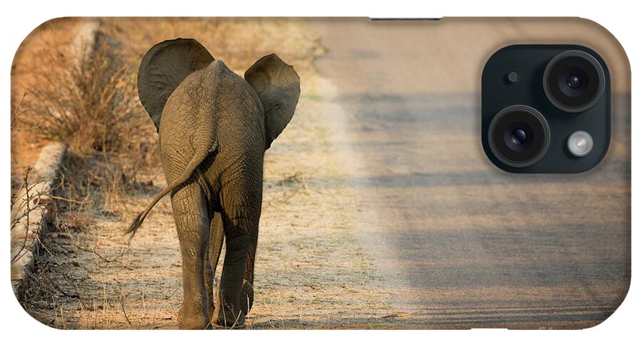 Elephant iPhone Case featuring the photograph Baby elephant rear view by Jane Rix