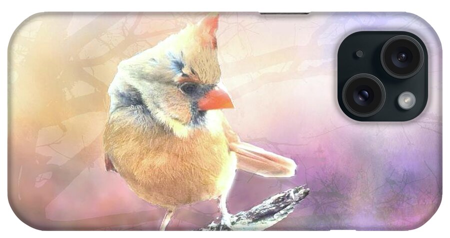 Female iPhone Case featuring the photograph Baby Female Cardinal in Springtime by Janette Boyd