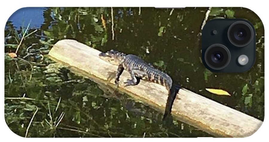 Nps iPhone Case featuring the photograph #baby #gator #alligator #bigcypress by Patricia And Craig