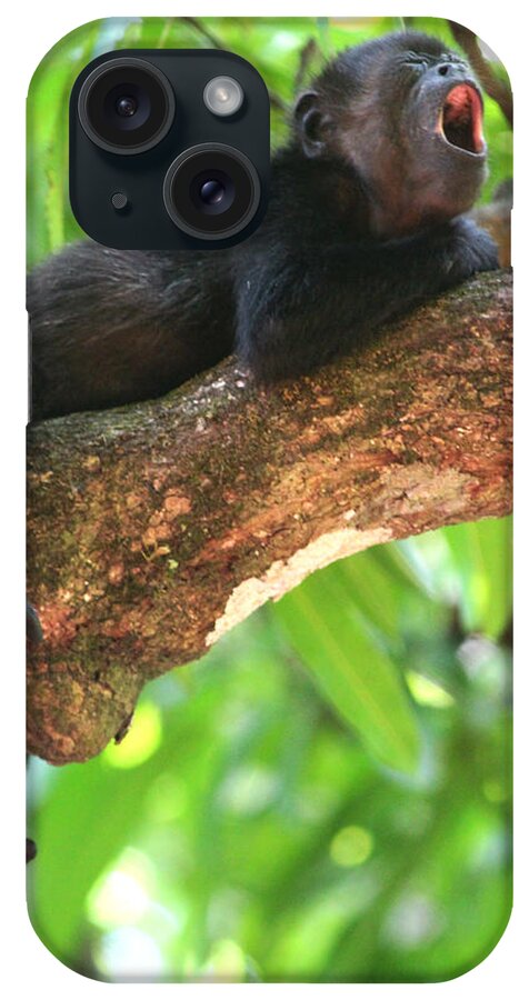 Howler Monkey iPhone Case featuring the photograph Baby Howler Monkey by Nathan Miller