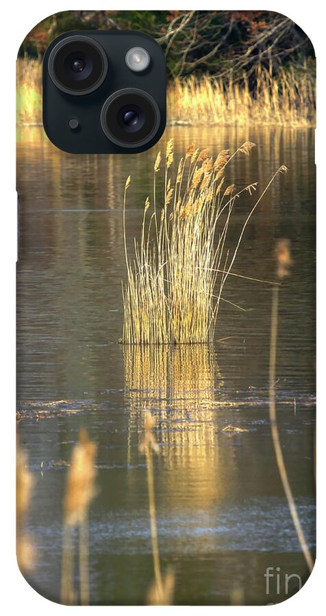 James River iPhone Case featuring the photograph Back River Reflection Virginia II by Karen Jorstad