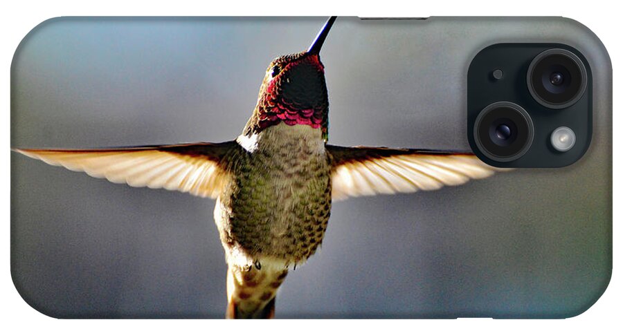 Hummingbird iPhone Case featuring the photograph Backlight by Debby Pueschel