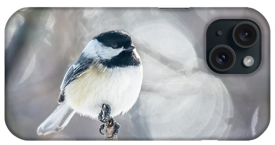 Cheryl Baxter Photography iPhone Case featuring the photograph Backlit Chickadee by Cheryl Baxter
