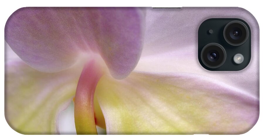 Orchids iPhone Case featuring the photograph Backlit Orchid by Michael Hubley