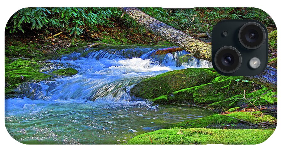 Backwoods Stream iPhone Case featuring the photograph Backwoods Stream by The James Roney Collection