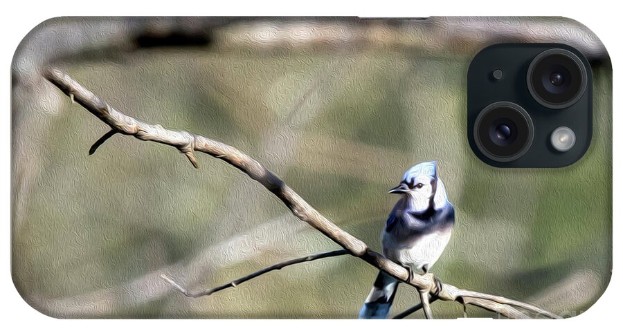Blue Jay iPhone Case featuring the digital art Backyard Blue Jay Oil by Ed Taylor