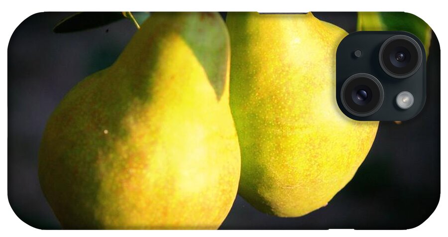 Food iPhone Case featuring the photograph Backyard Garden Series - Two Pears by Carol Groenen